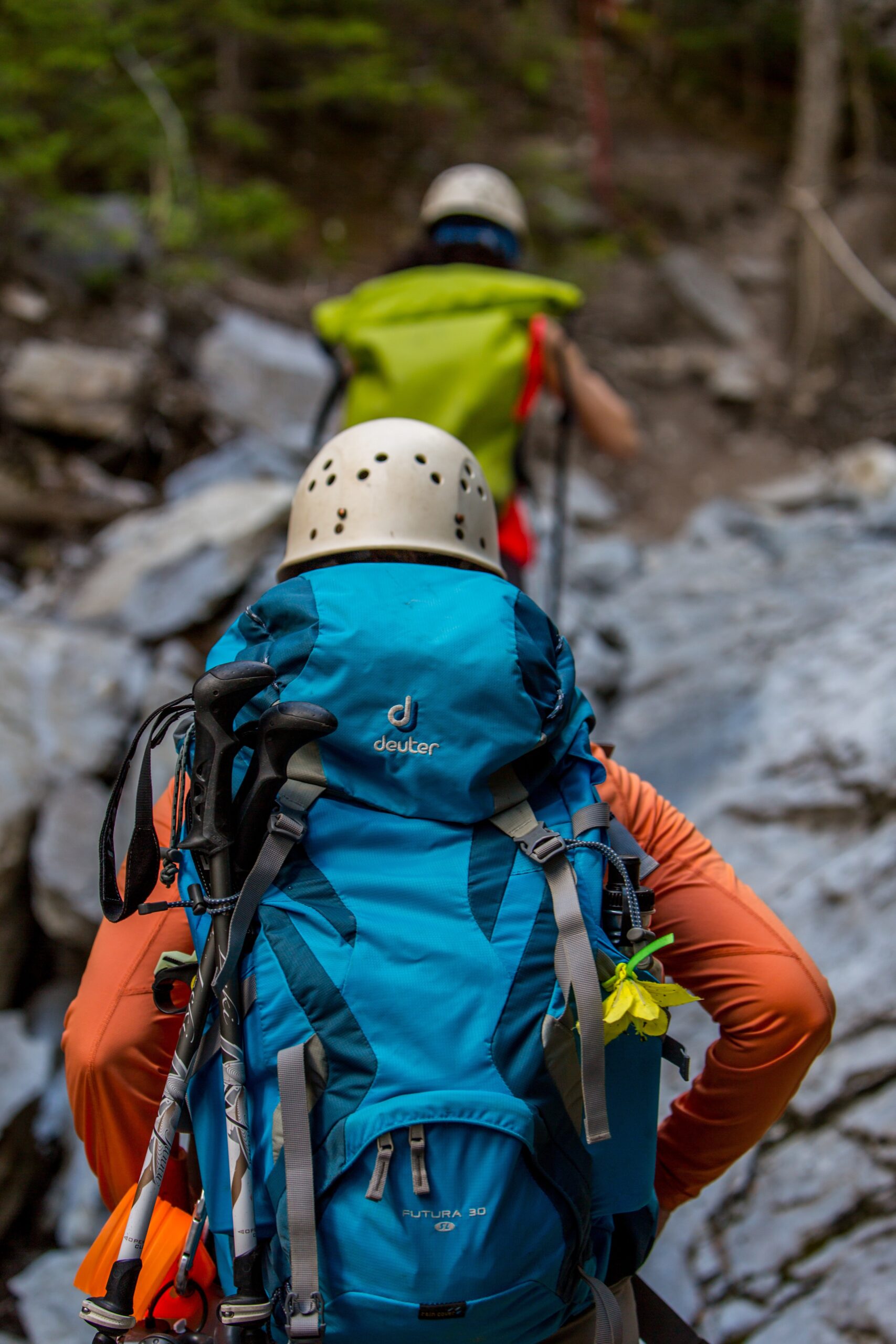 HIKING VS TREKKING VS MOUNTAINEERING Trekking Cougars