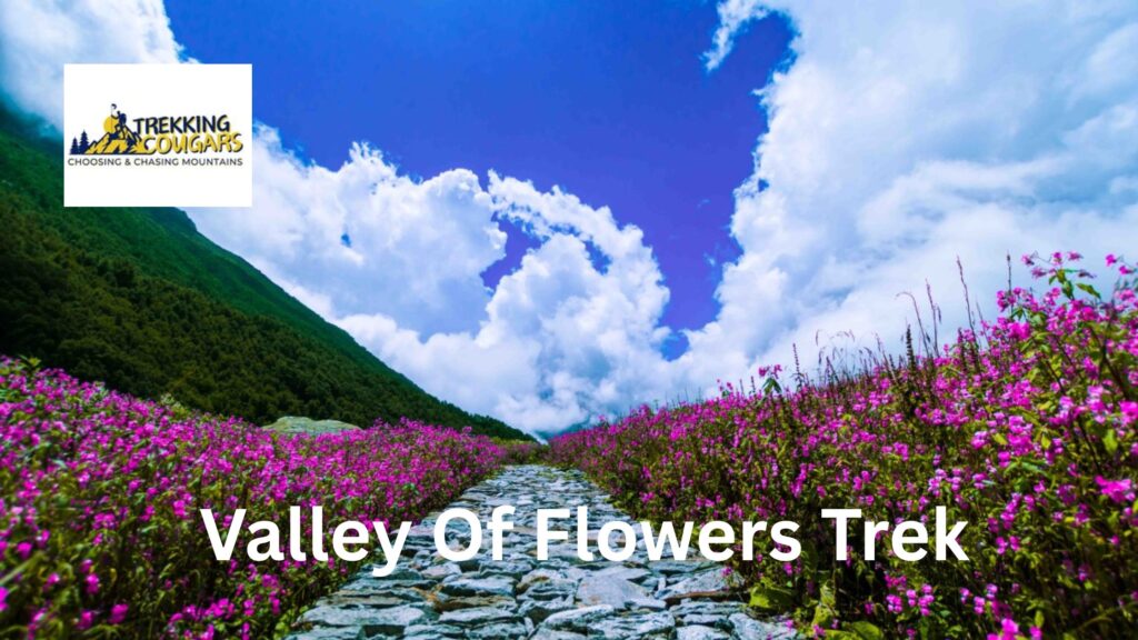 valley of flowers trek