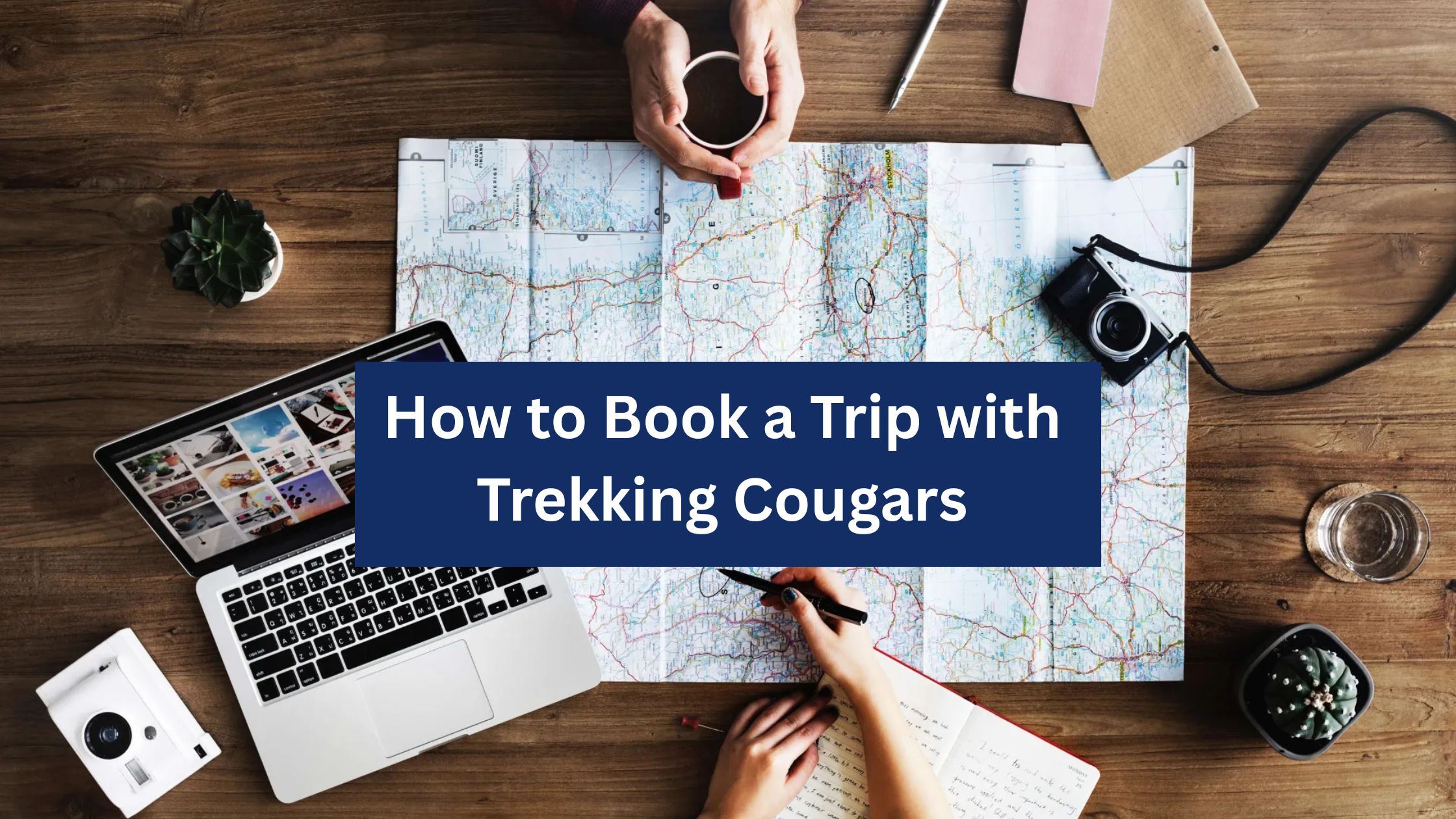 Book a Trip