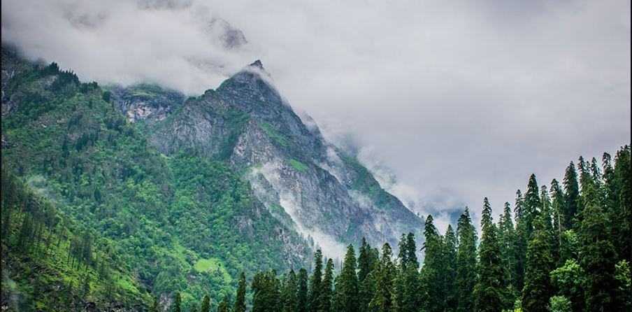 kheerganga trek trekking cougars