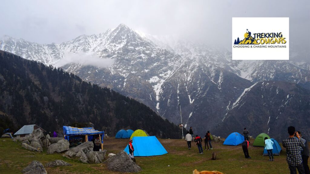 triund trek himachal pradesh
