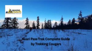 Kuari Pass Trek Complete Guide