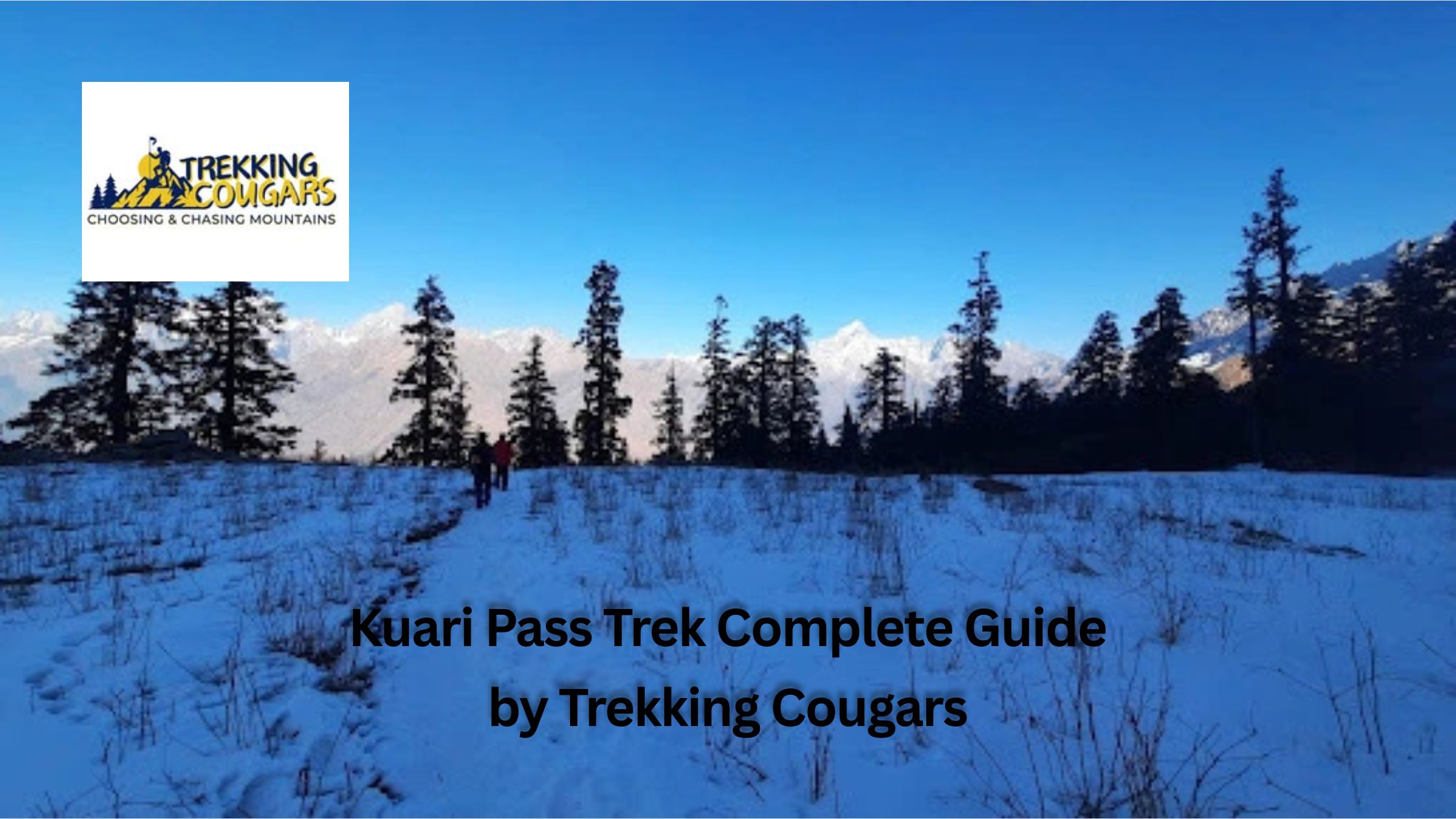 Kuari Pass Trek Complete Guide
