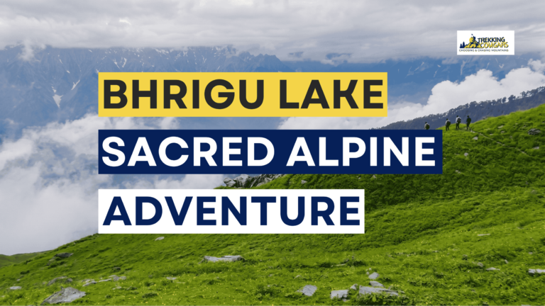 Bhrigu Lake trek banner showing lush green alpine meadows with snow-capped Himalayan peaks in Himachal Pradesh