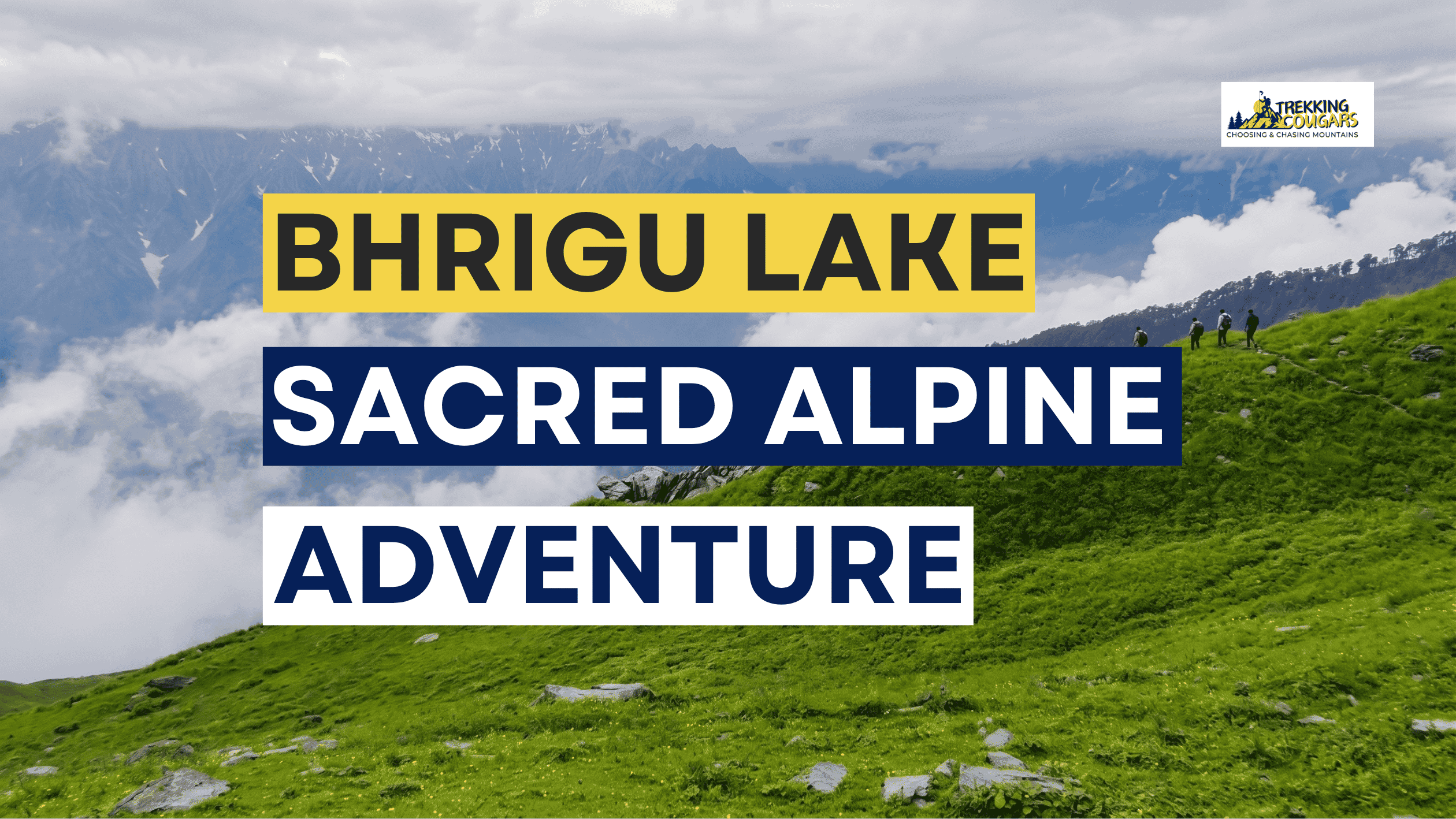 Bhrigu Lake trek banner showing lush green alpine meadows with snow-capped Himalayan peaks in Himachal Pradesh