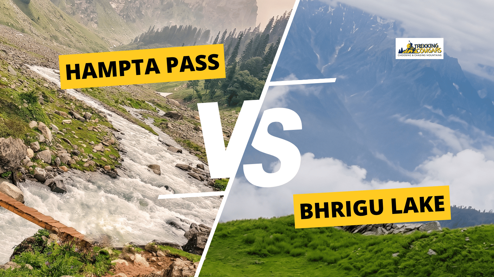 Bhrigu Lake vs Hampta Pass trek comparison — Trekking Cougars guide 2026