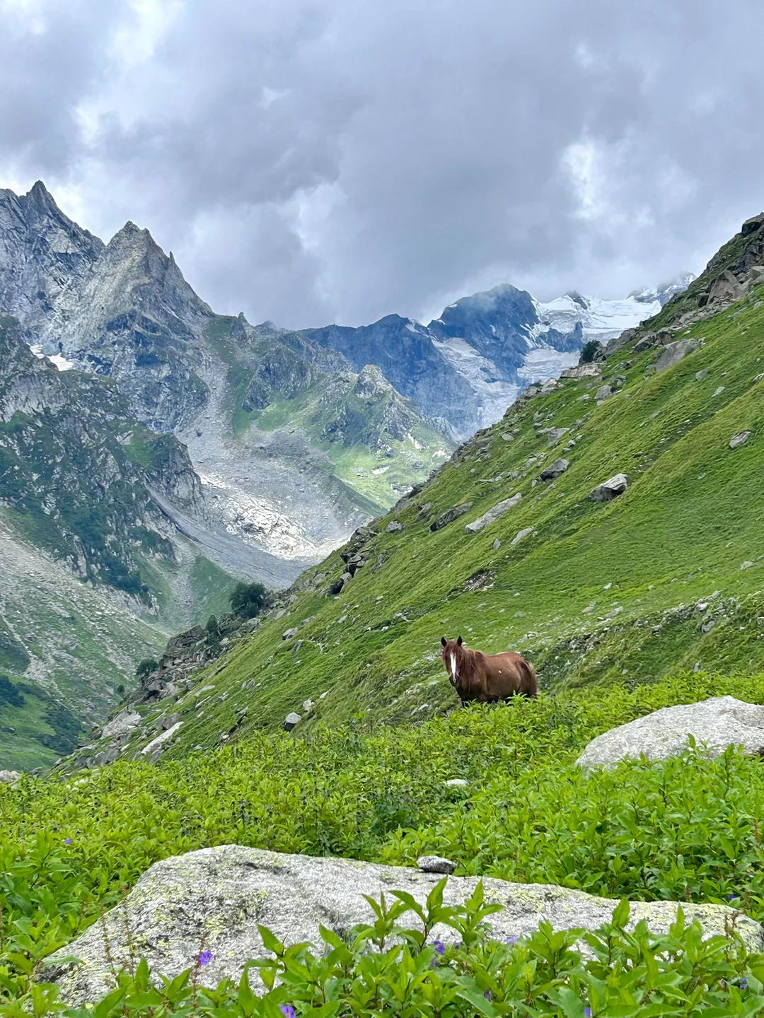 Green Bhaba Valley landscape on the Pin Bhabha Pass Trek