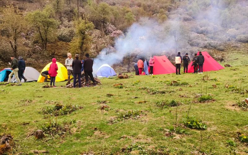 85a7dd3e 5ab9 468f 84f6 882bbc5feadf