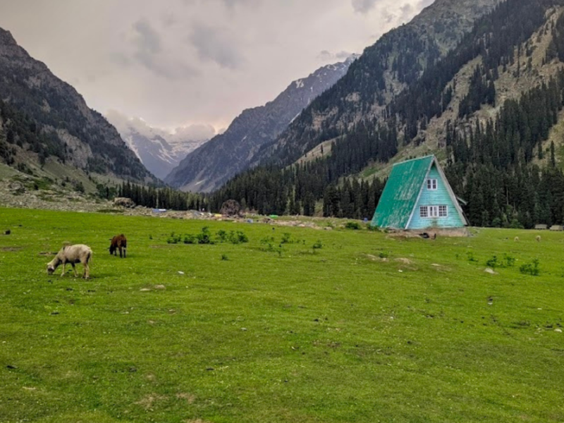 Tharsar 2