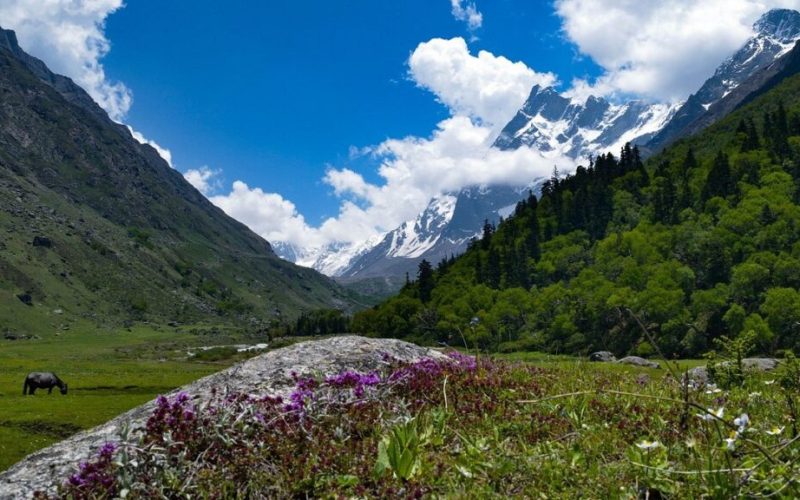 har-ki-dun-trekking-india-1024x576-1