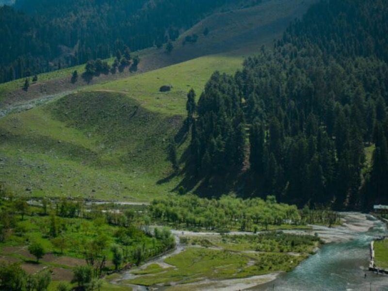 pexels-saqlain-ashraf-clicks-2425782-12229530-636x426