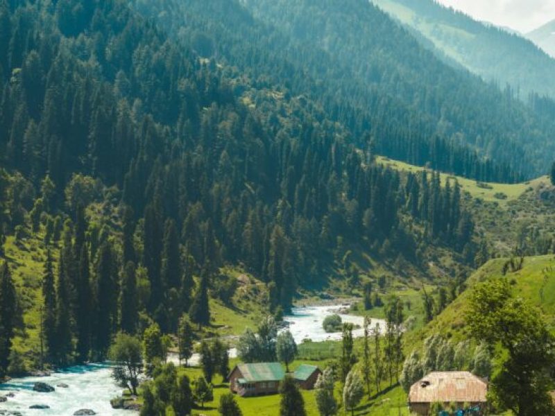 pexels-saqlain-ashraf-clicks-2425782-17952630-636x426