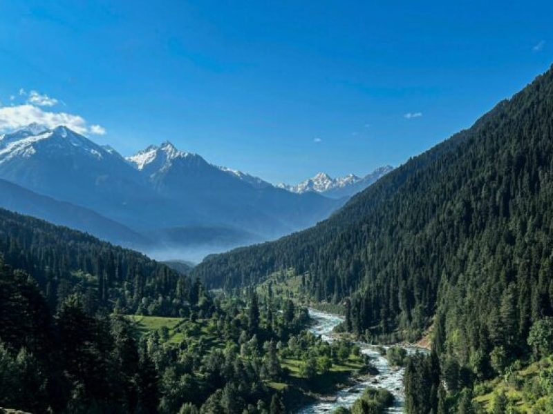 pexels-sheikh-muzamil-132620374-28805621-636x426